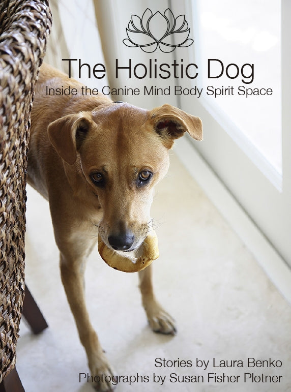 The Holistic Dog Book