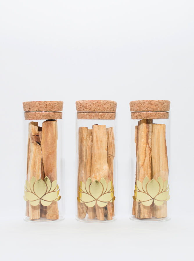 Palo Santo in a Glass Cylinder