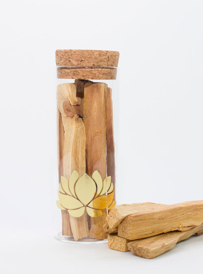 Palo Santo in a Glass Cylinder